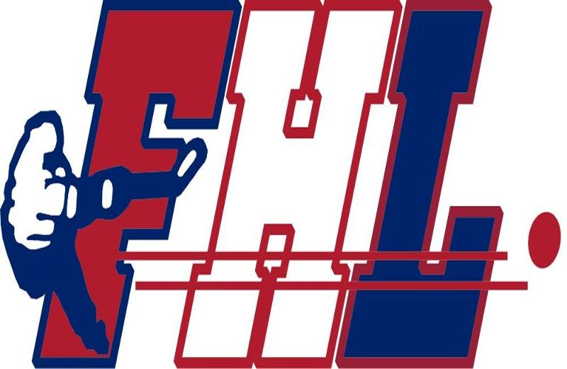 Federal Hockey League 2010-2015 Secondary Logo iron on heat transfer